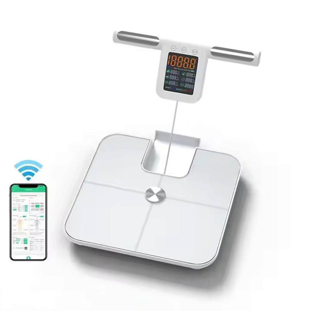 Умные весы для жира в организм – обзор и цена Body Fat Scale Smart